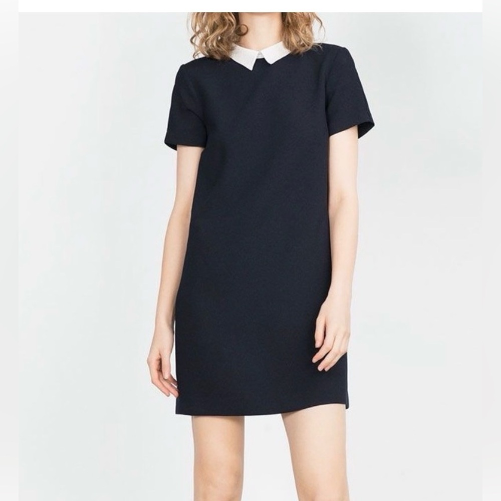 Zara Black Ribbed Dress with White Peter Pan Collar
